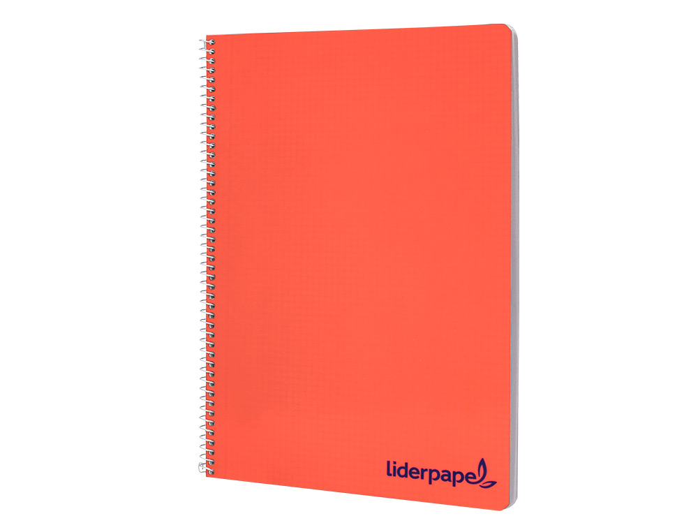 CADERNO ESPIRAL LIDERPAPEL WONDER DIN A4 CAPA PLASTICO 80 F 90 GR PAUTADO COM MARGEM CORES SORTIDAS
