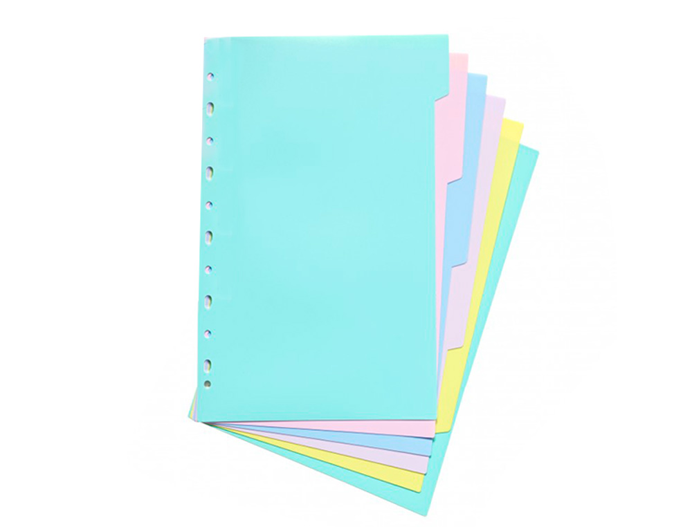 SEPARADOR CARCHIVO POLIPROPILENO SOFT EXTRA FORTE DIN A4 MULTIPERFURADO CONJUNTO DE 6 POSICOES