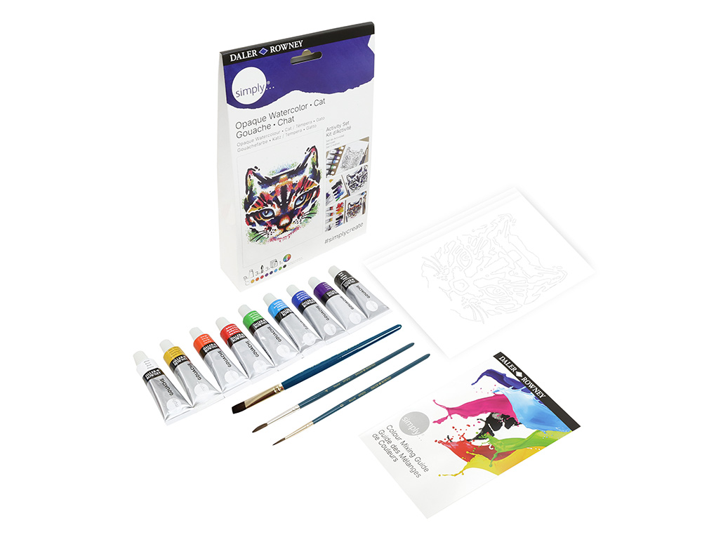 CONJUNTO DE PINTURA GUACHE DALER ROWNEY SIMPLY ACTIVITY