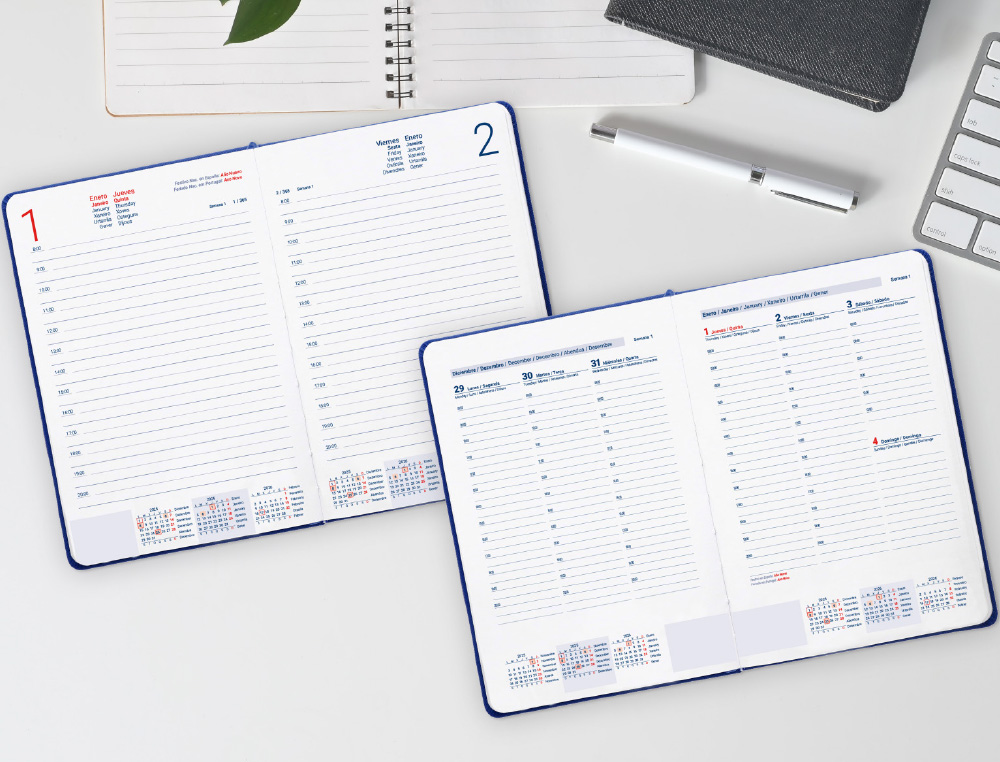 AGENDA ENCADERNADA LIDERPAPEL CRETA 17X24 2026 DIA PAGINA CINZA PAPEL 70 GR FSC