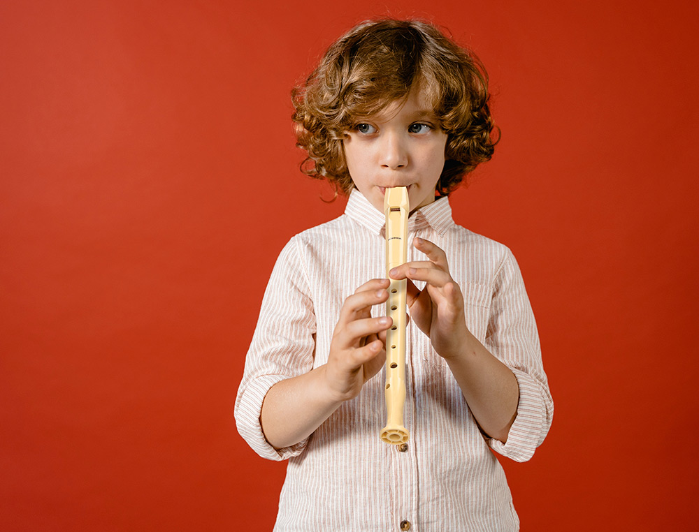 FLAUTA PLASTICO HOHNER