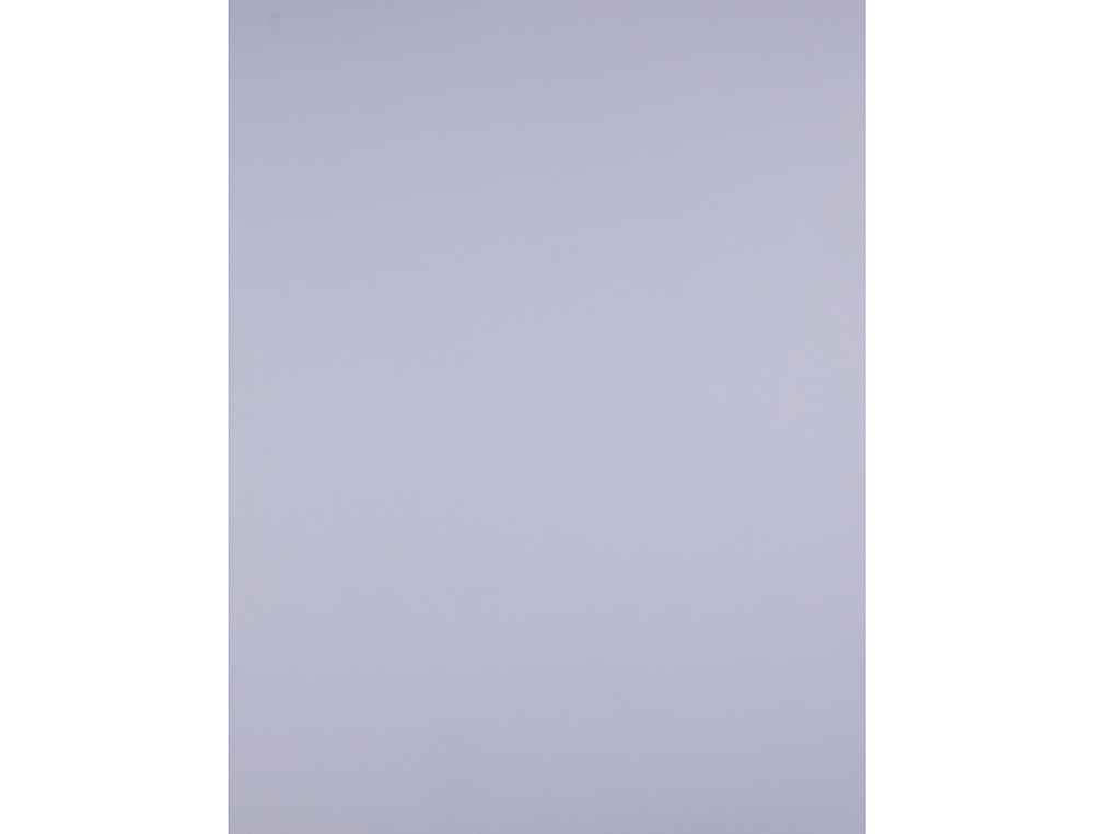 CARTOLINA LIDERPAPEL 50X65 CM 240 GR LILAS