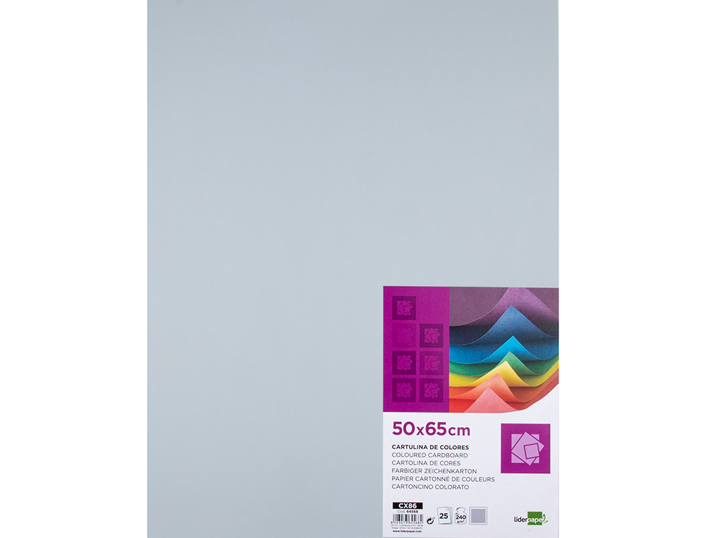 CARTOLINA LIDERPAPEL 50X65 CM 240 GR CINZA PACK DE 25 UNIDADES