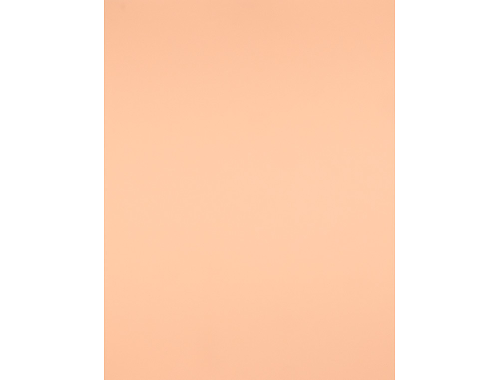 CARTOLINA LIDERPAPEL 50X65 CM 240 GR SEPIA PACK DE 25 UNIDADES