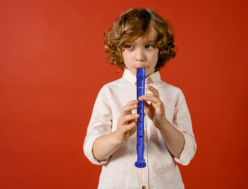 FLAUTA HOHNER 9508 COR AZUL BOLSA VERDE E TRANSPARENTE