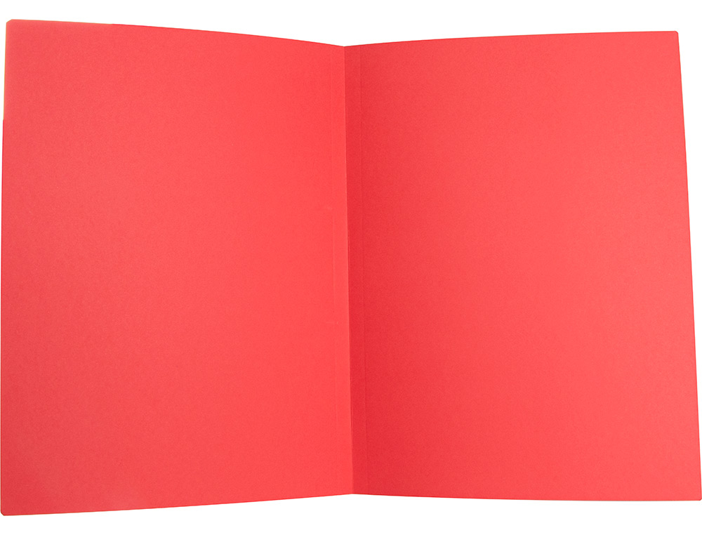 CLASSIFICADOR LIDERPAPEL DE CARTOLINA FOLIO CORES SORTIDAS EMBALAGEM DE 25 UNIDADES