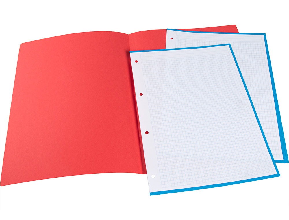 CLASSIFICADOR LIDERPAPEL DE CARTOLINA FOLIO CORES SORTIDAS EMBALAGEM DE 25 UNIDADES