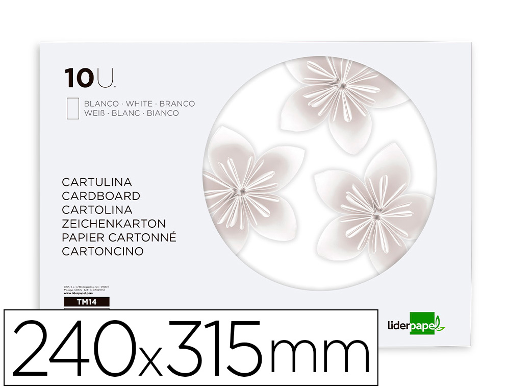 BLOCO TRABALHOS MANUAIS LIDERPAPEL CARTOLINA 240X315MM 10 FOLHAS COR BRANCO