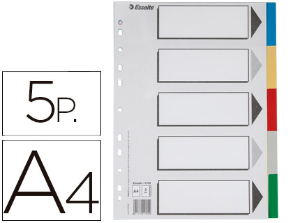 SEPARADOR ESSELTE DE PLASTICO CONJUNTO DE 5 SEPARADORES DE CORES DIN A4 COM 5 CORES MULTIPERFURADO